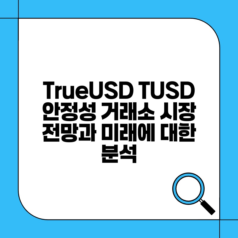 TrueUSD TUSD 안정성 거래소 시장 전망과 미래에 대한 분석.jpg