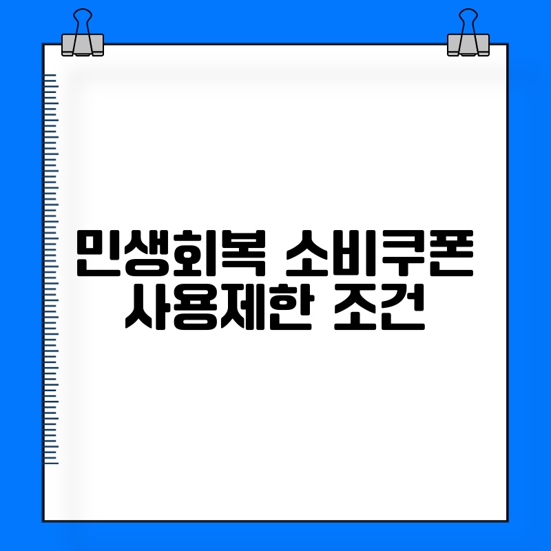 민생회복 소비쿠폰 사용제한 조건 thumb.jpg