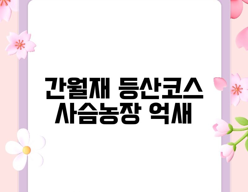 간월재 등산코스 사슴농장 억새 thumb.jpg