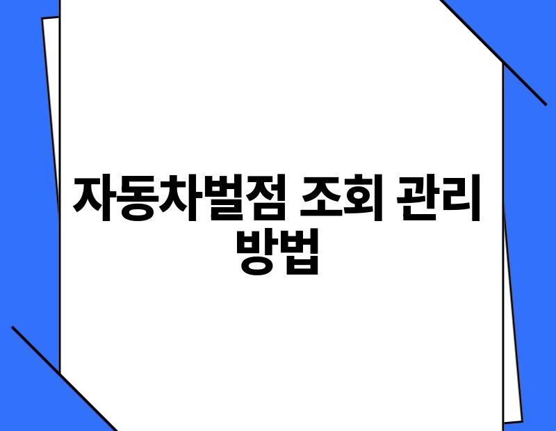 자동차벌점 조회 관리 방법 thumb.jpg
